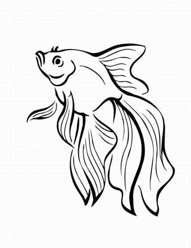 386x500 Tropical Fish Outlines