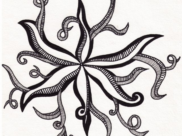 640x480 Cool Flower Drawings Flowers Originalities