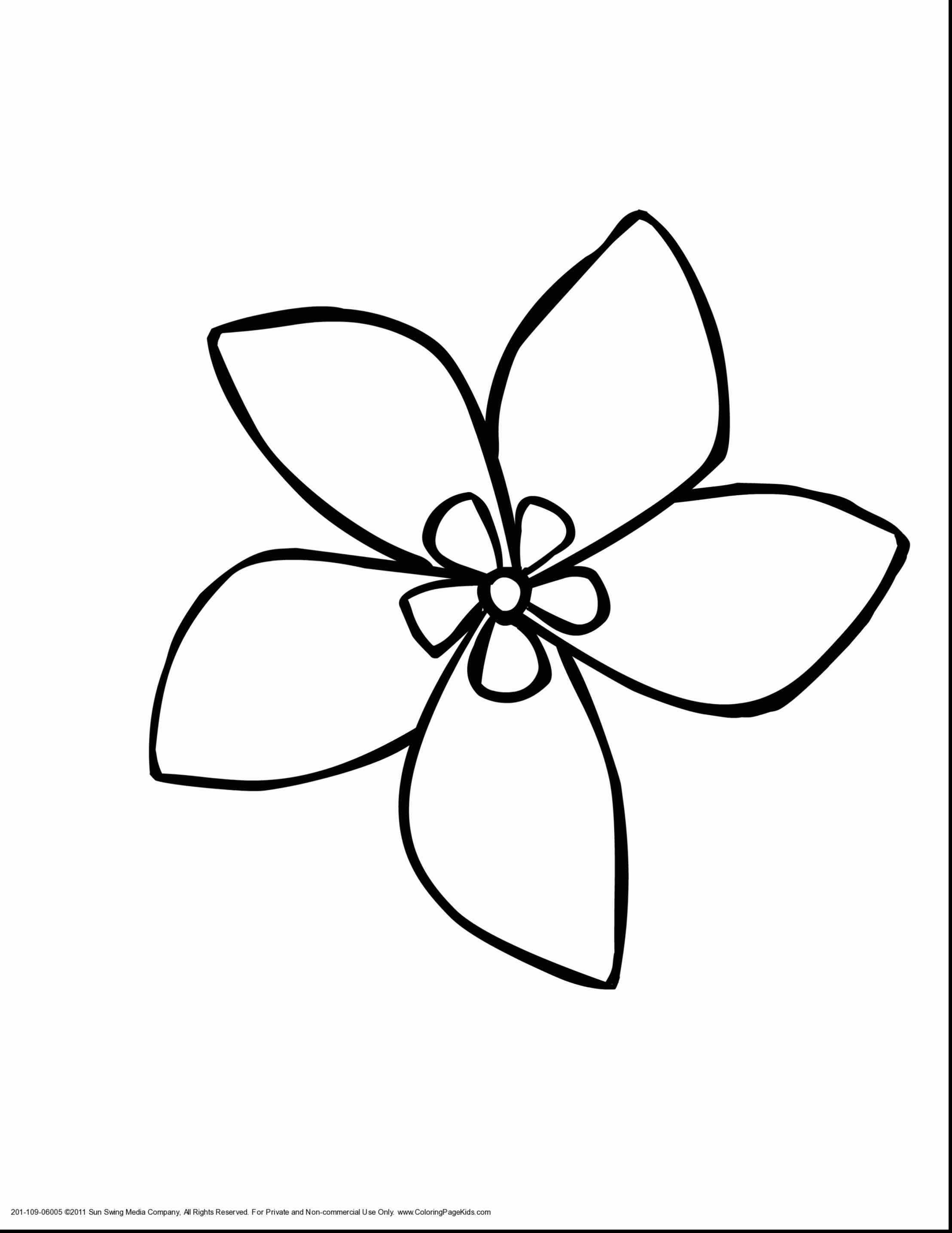 2216x2868 Flower With Drawings Of Google Search Drawing Help Drawings