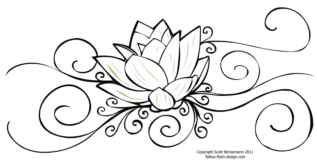 1200x609 Flowers Drawing Drawing Of A Flower 6 Nice Design Draw Flower Step