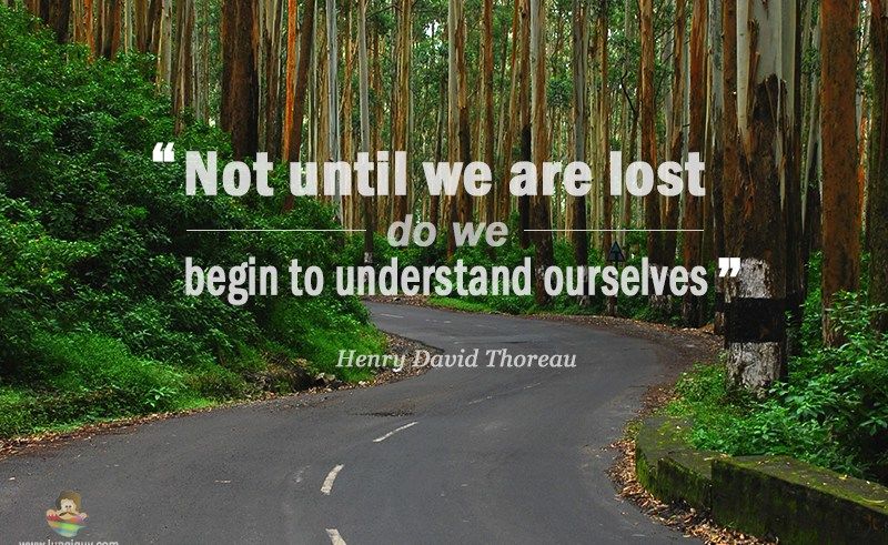 800x491 Coloring Pages Of Cool Flowers Gardening Flower And Vegetables