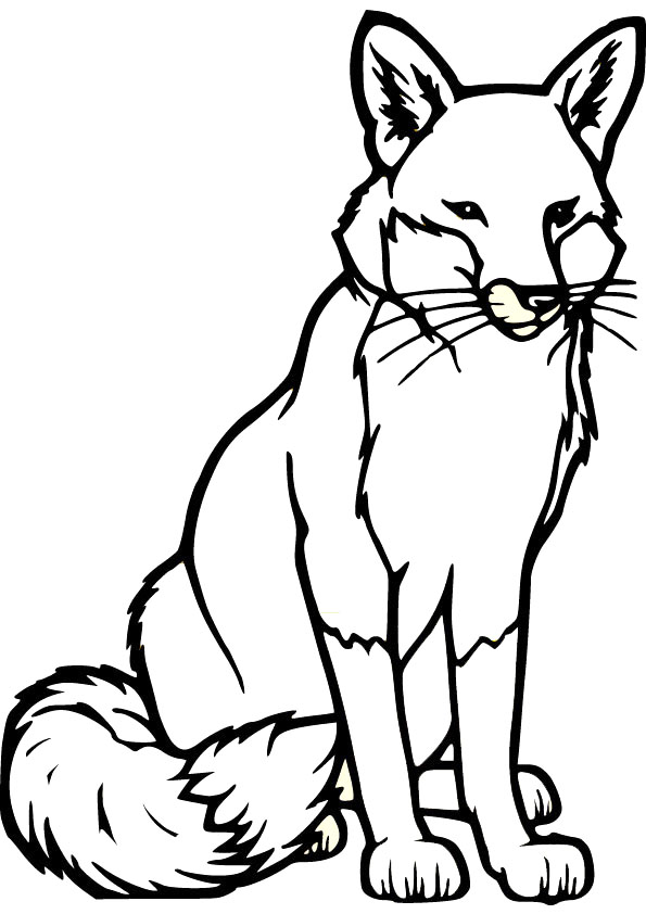 595x842 Impressive Fox Coloring Pages Cool Coloring