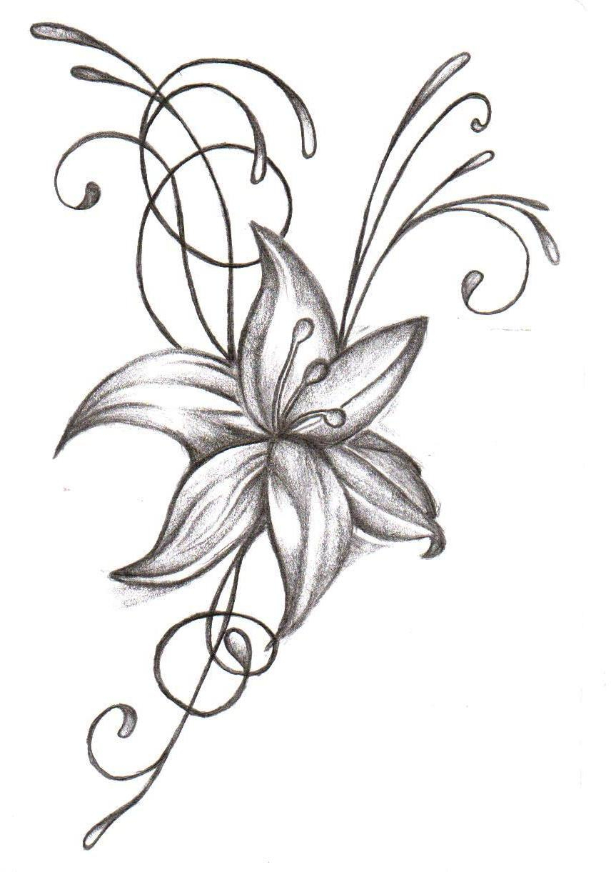 856x1221 Pictures How To Draw A Cool Flower,