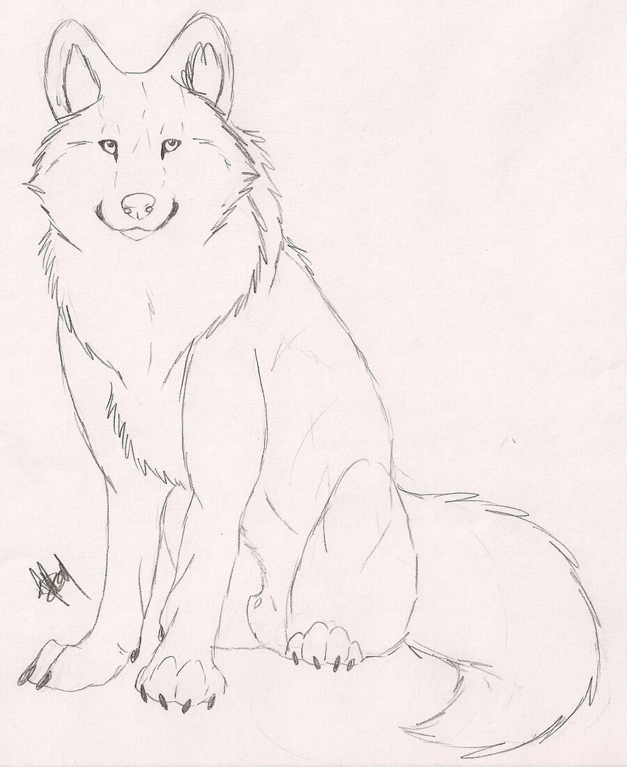 900x1101 Pin By Eternalarcticpawzaj On Cool Drawings Drawings