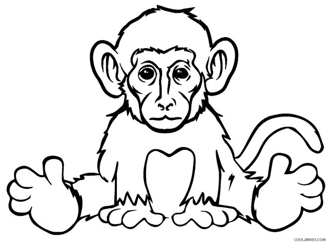 670x494 Free Printable Monkey Coloring Pages For Kids Cool2bkids