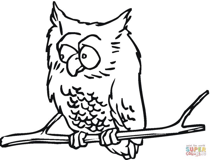 736x563 60 Best Owl! Lt3 Images On Owls, Owl And Pocket Watch