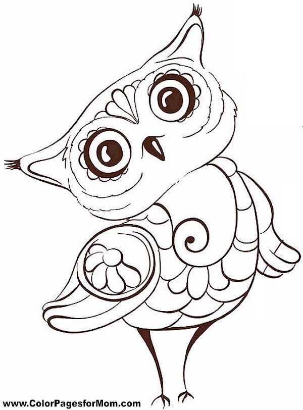 600x812 Coloring Pages Good Looking Coloring Pages Draw An Owl Drawing
