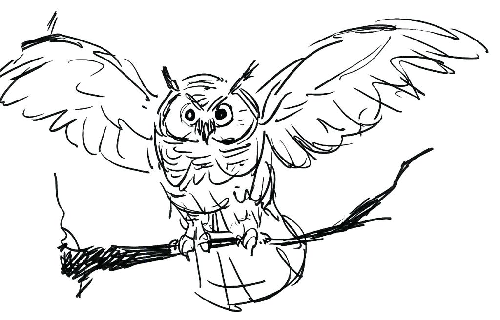 1024x656 Coloring Pages Draw An Owl Owl Printable Coloring Pages Enchanting