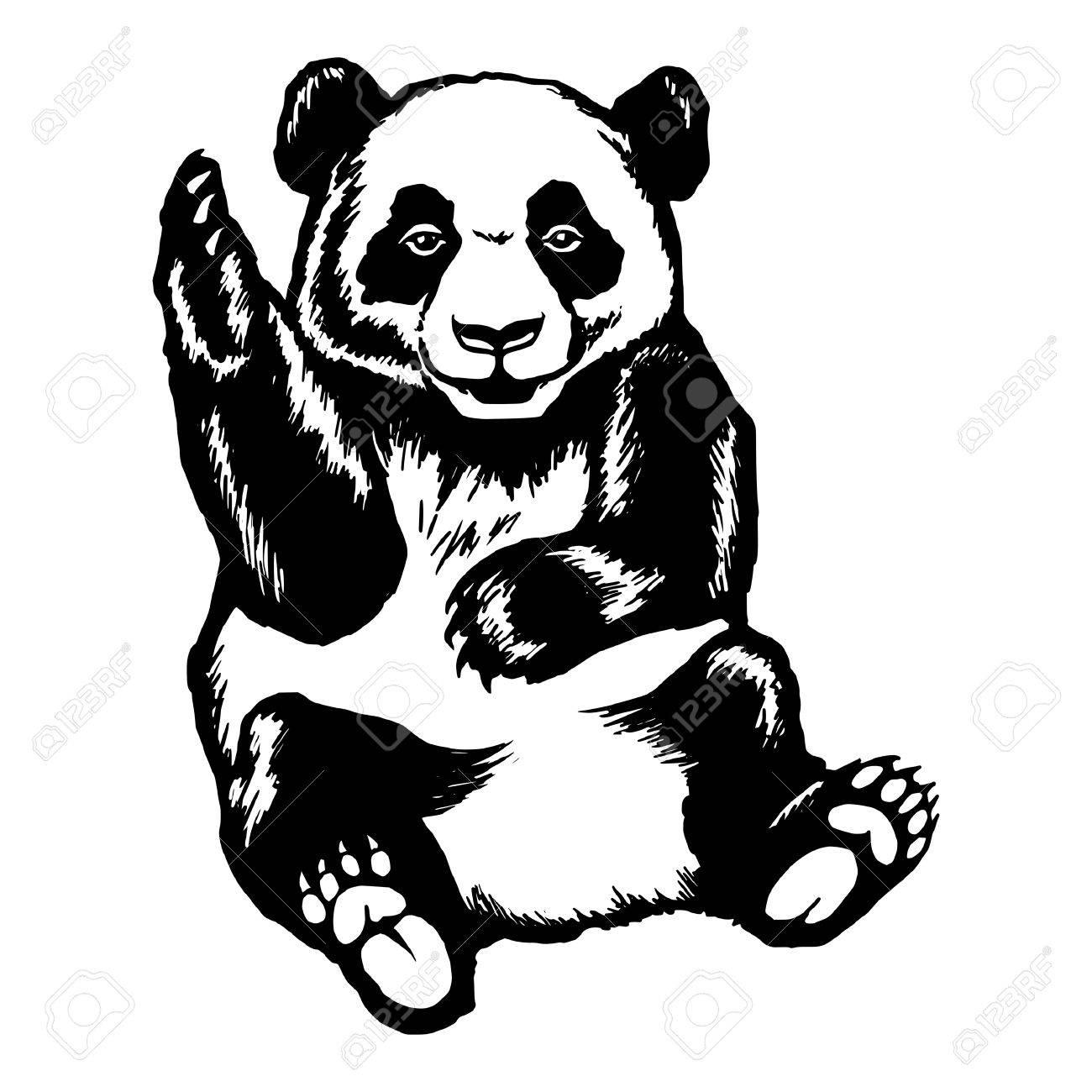 1300x1300 Hand Drawn Vector Sketch Silhouette Linear Illustration Of Panda
