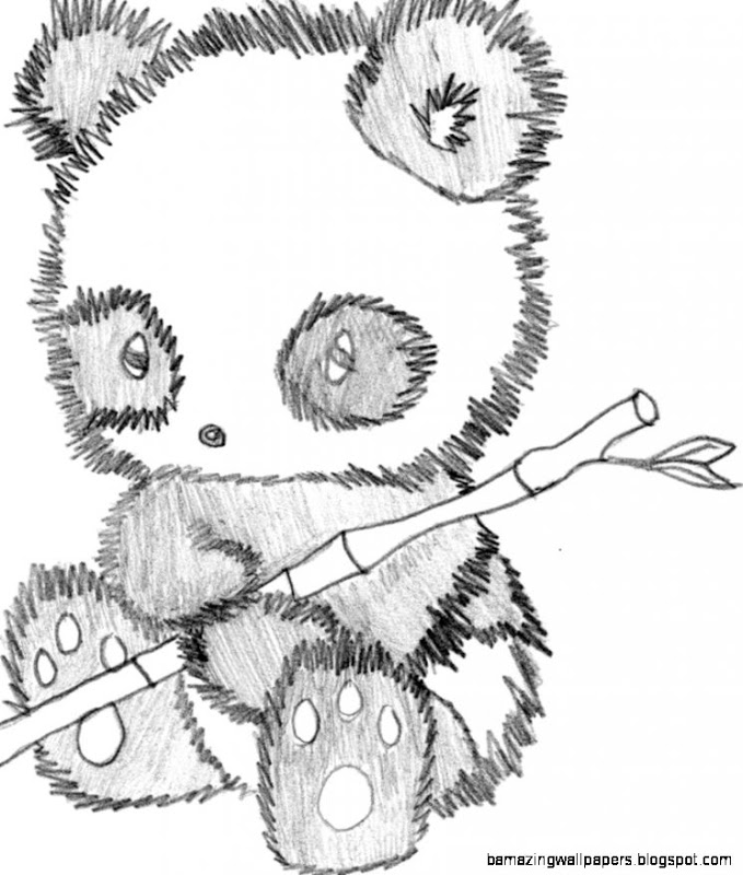 679x800 Cute Panda Drawings In Pencil Amazing Wallpapers