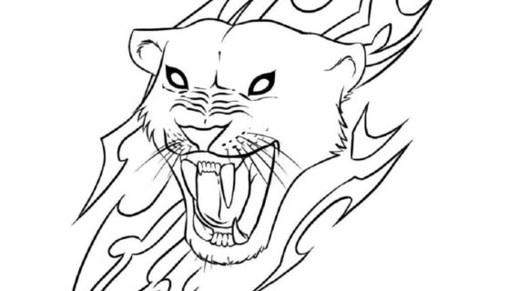 570x320 How To Draw Cool Animals How To Draw A Cool Shark Step Step Sea