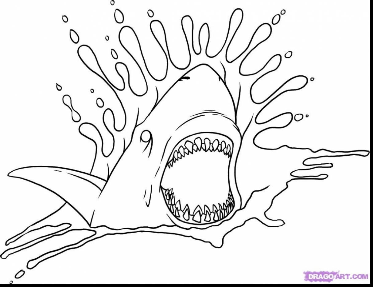 1215x933 Spectacular How To Draw Cool Shark Tattoos With Tattoo Coloring