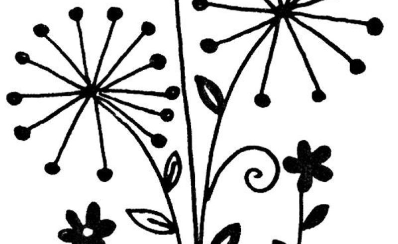 800x491 Art Simple Draw Flower Gardening Flower And Vegetables