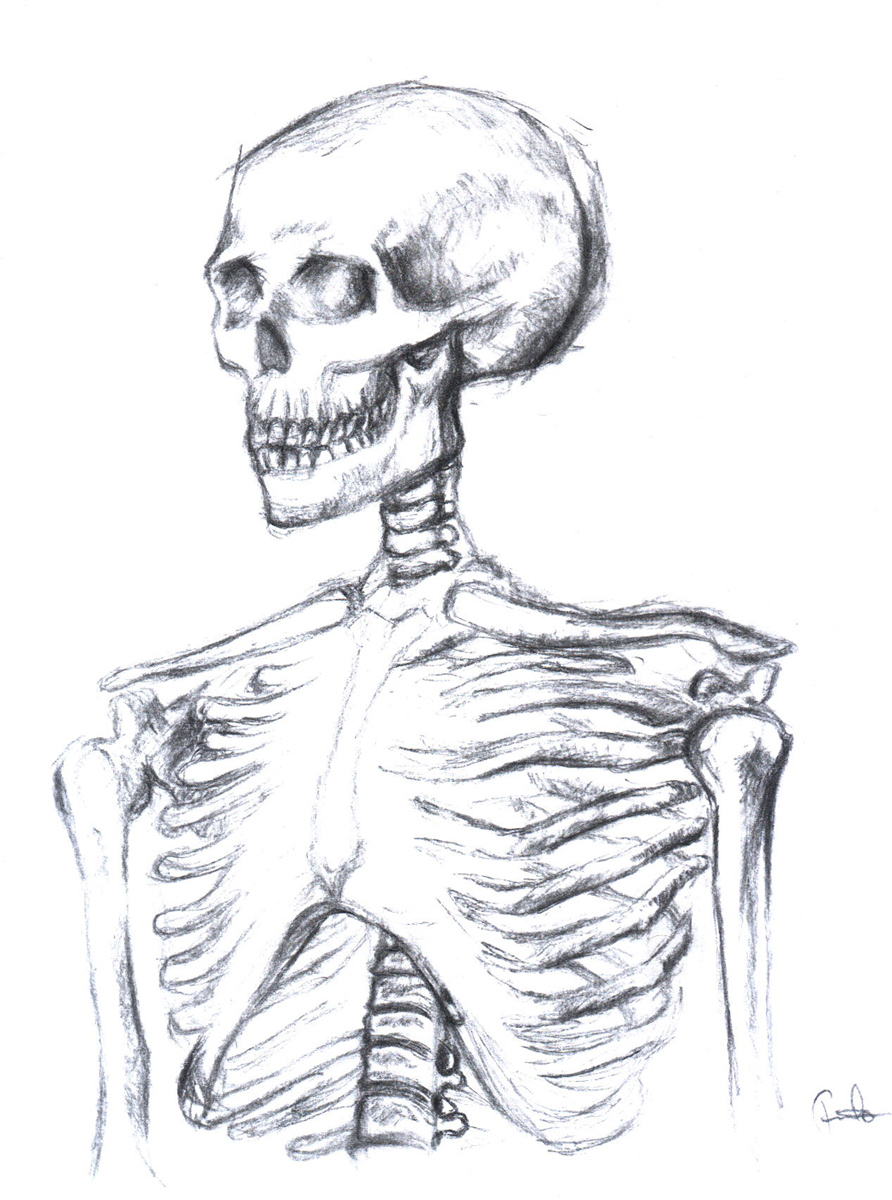 892x1200 Skeleton Body Charcoal 2 By Pauloduquefrade