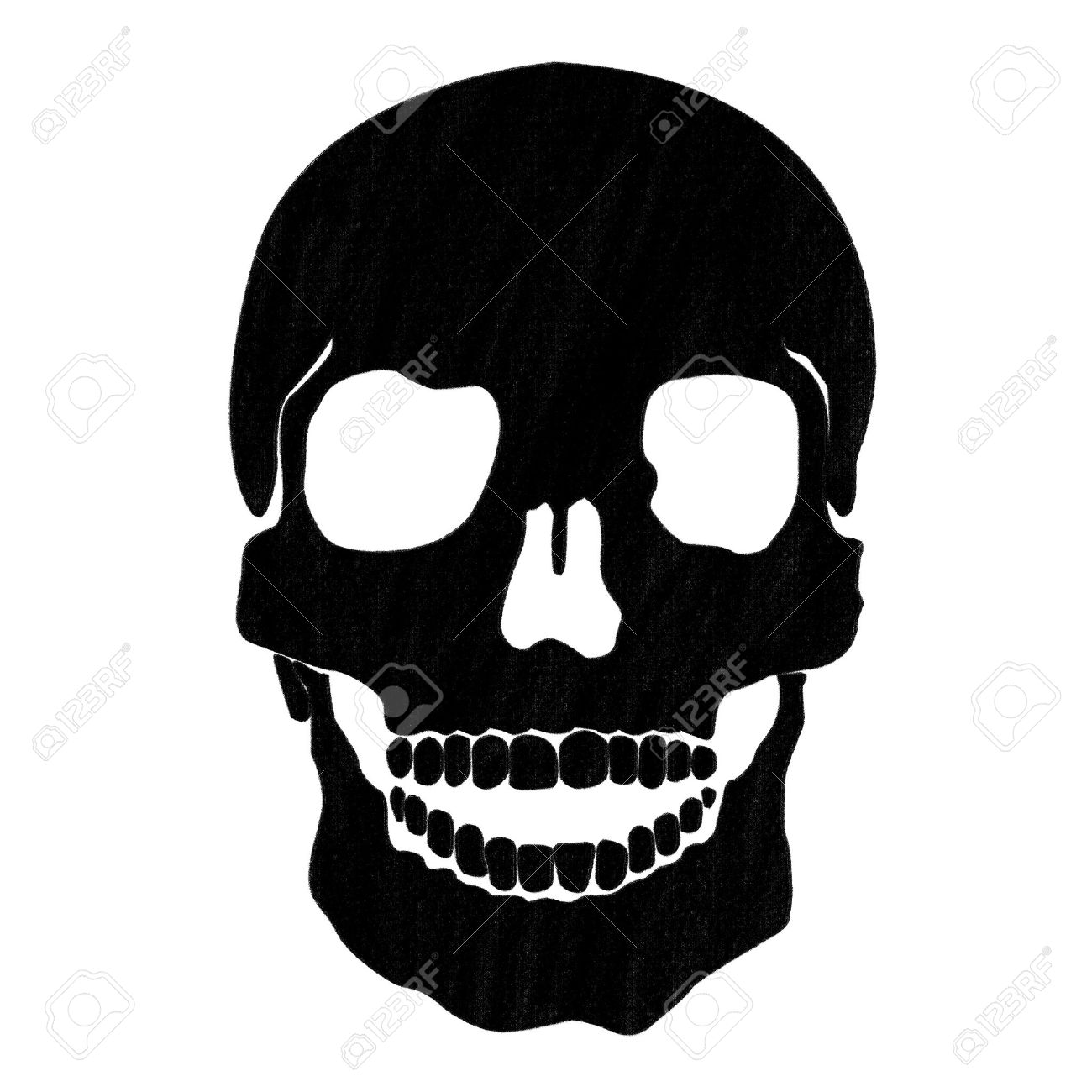 1300x1300 Skull Drawing By Pastel On Charcoal Paper Stock Photo, Picture