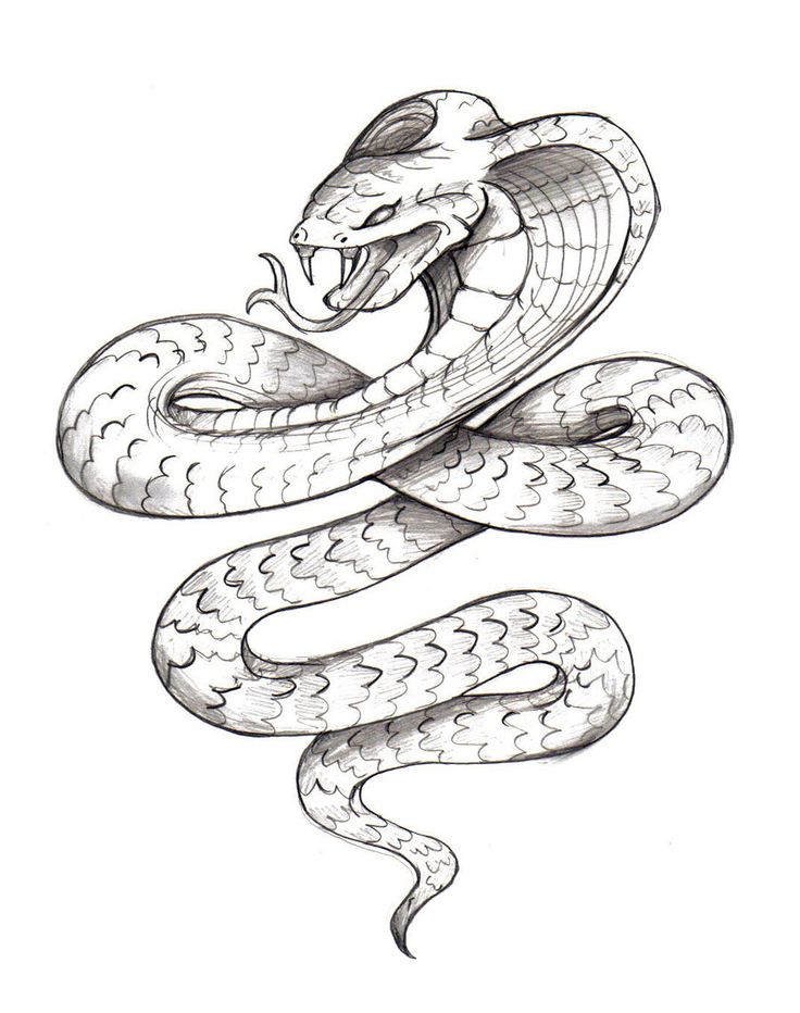 736x932 Unique Serpent Tattoo Designs 35 For Floral Tattoo Designs