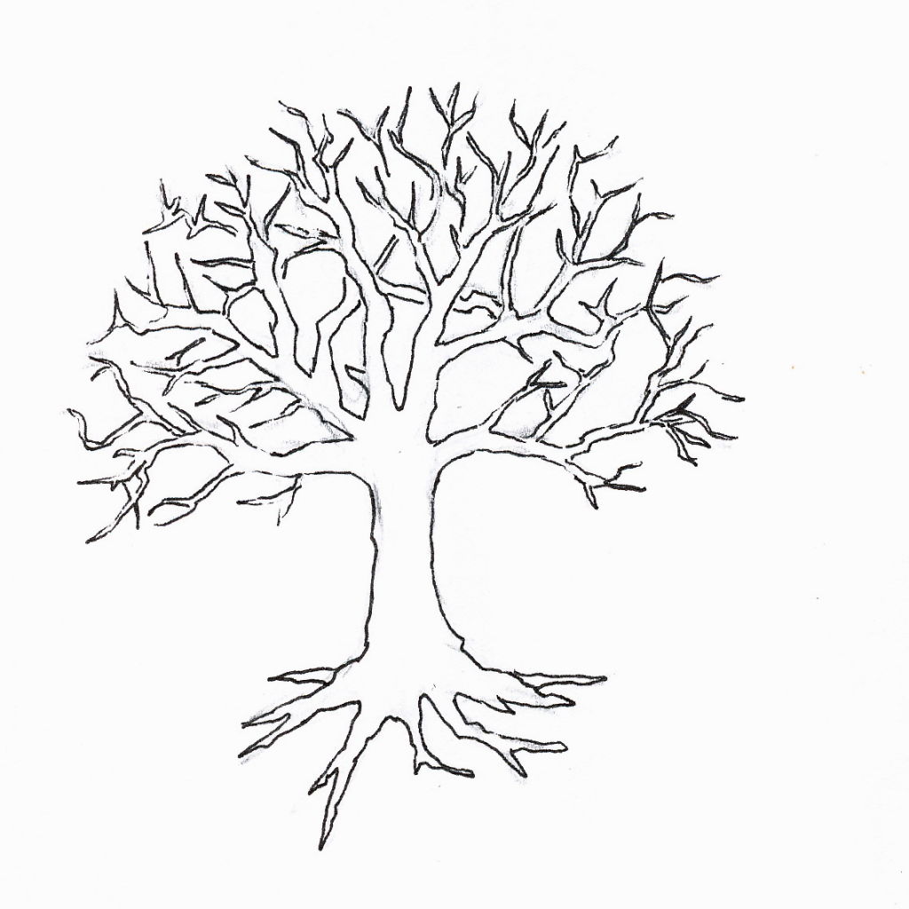1024x1024 Perfect Winter Tree Coloring Page Ideas For You