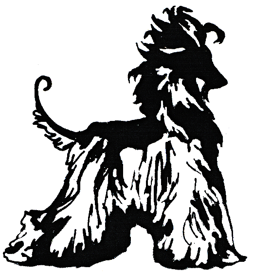 520x562 Image Result For Clipart Afghan Hound Afghan Hounds =