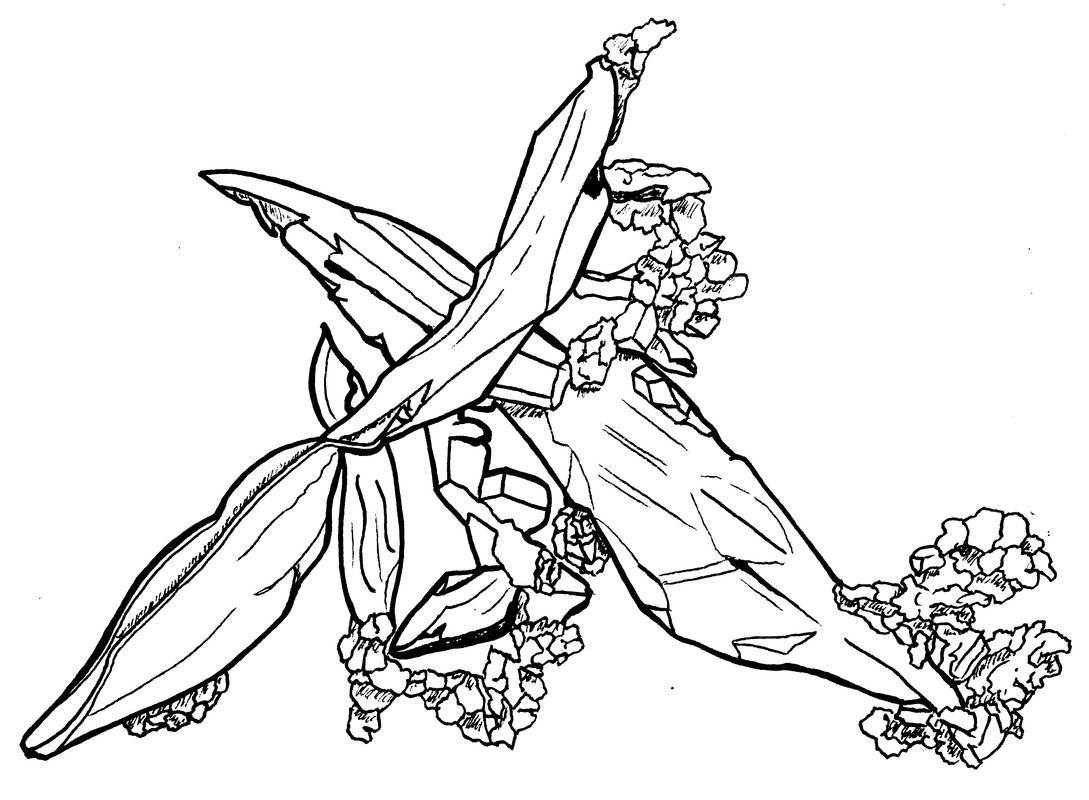 1089x800 Copper Coloring Page 3