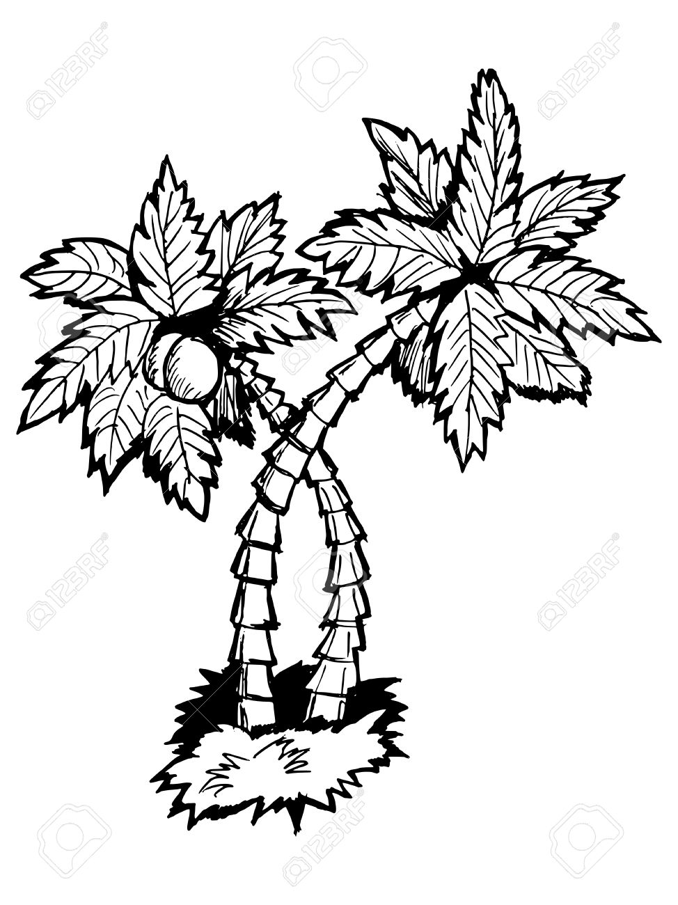 974x1300 Palm Tree Cartoon Drawing