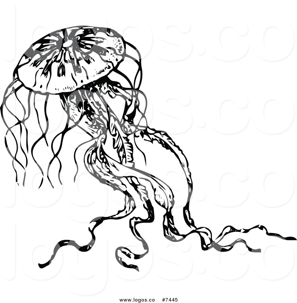 1024x1044 Royalty Free Clip Art Vector Logo Of A Black And White Jellyfish