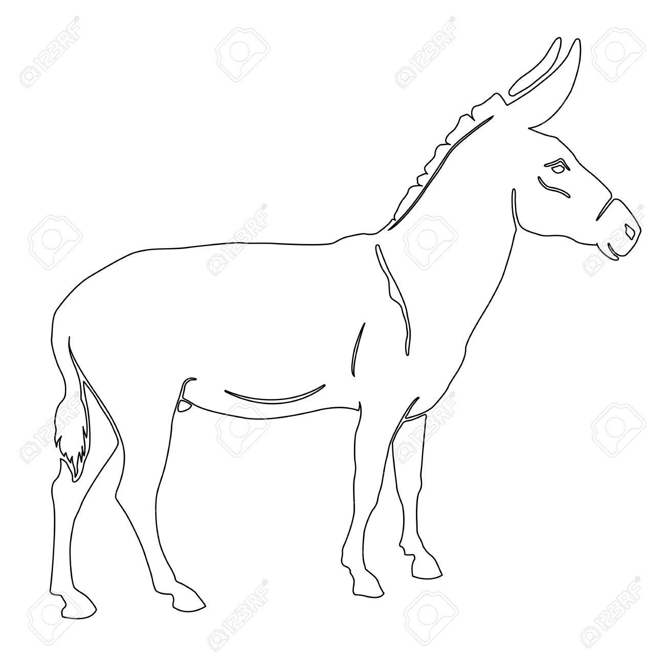 1300x1300 Donkey Outline Drawing Stock Photo, Picture And Royalty Free Image