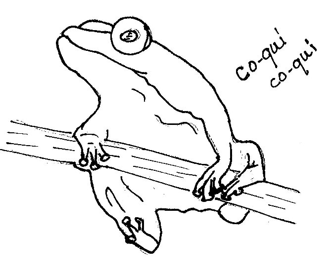 673x553 Coqui Coloring Page Coqui Coloring Page