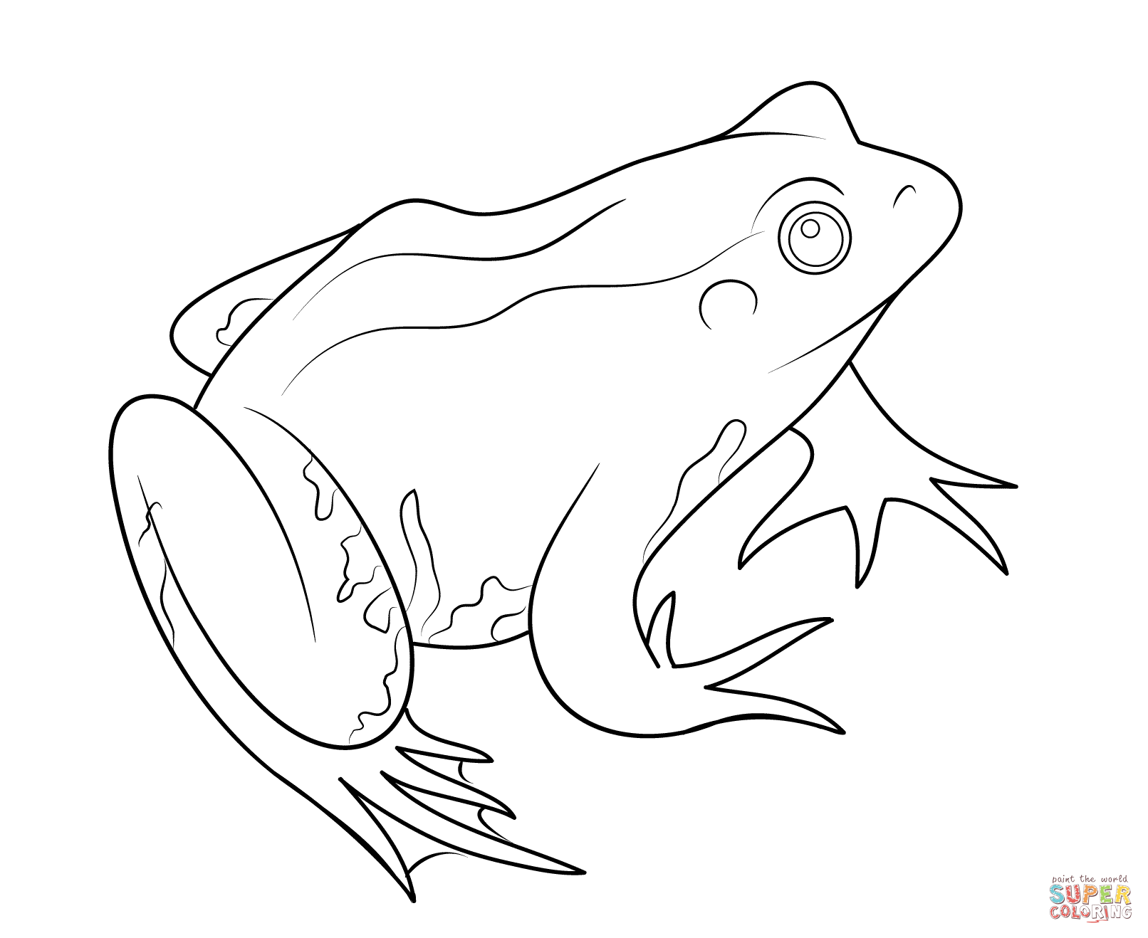 1612x1318 Frog Coloring Page Free Printable Coloring Pages