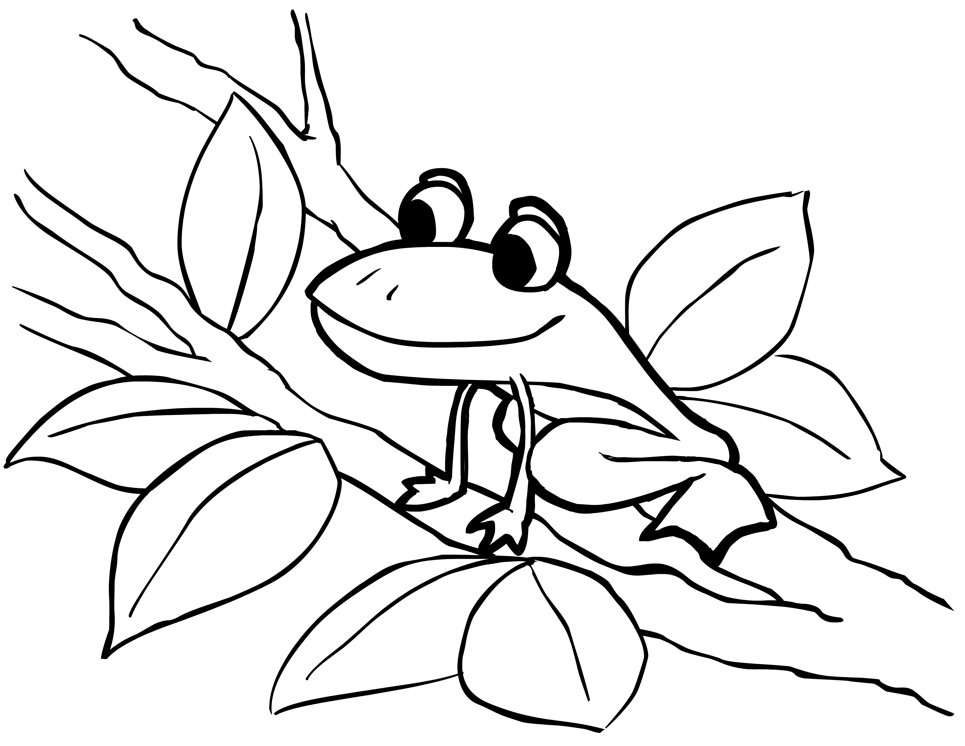 3300x2550 Free Printable Frog Coloring Pages For Kids