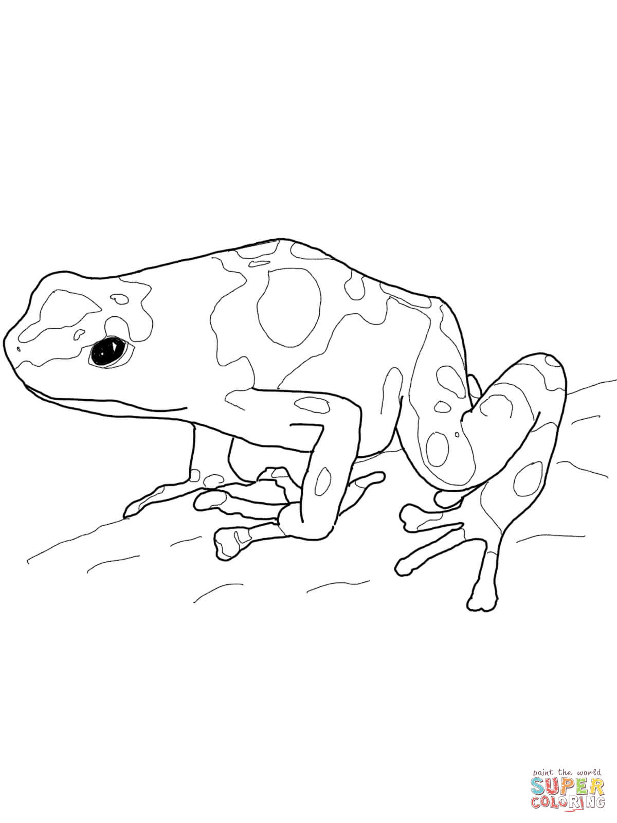 1200x1600 Poison Dart Frog Coloring Page Many Interesting Cliparts