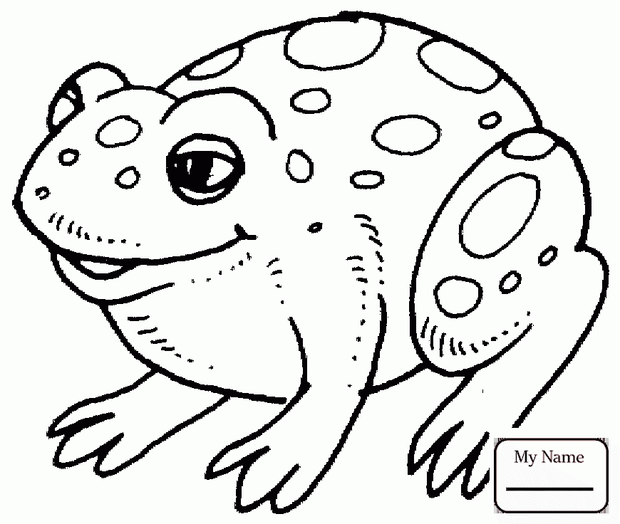 870x736 Frogs Azcoloring.co