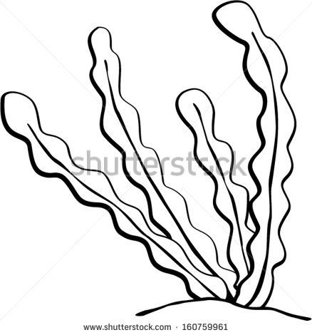 438x470 Coral Drawing Go Back Gt Gallery For Gt How To Draw Seaweed