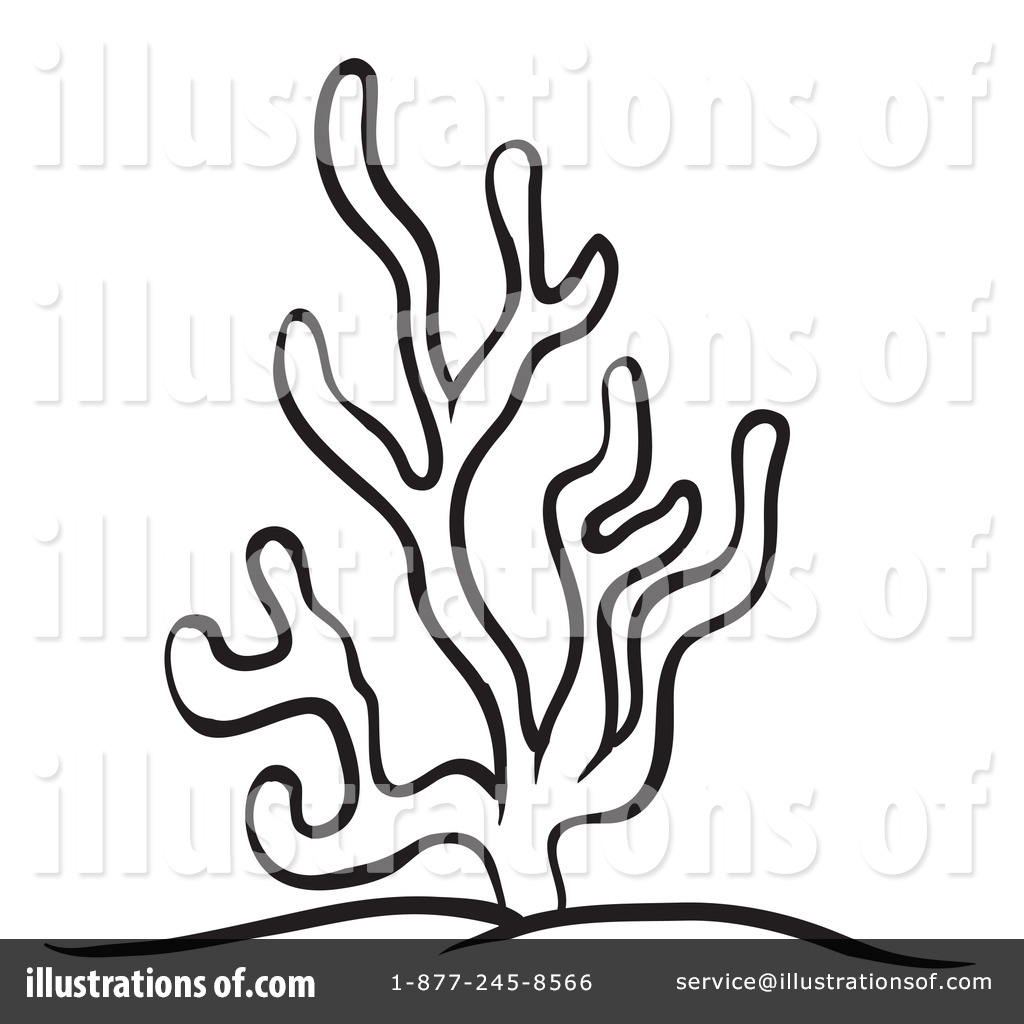 1024x1024 Coral Clipart