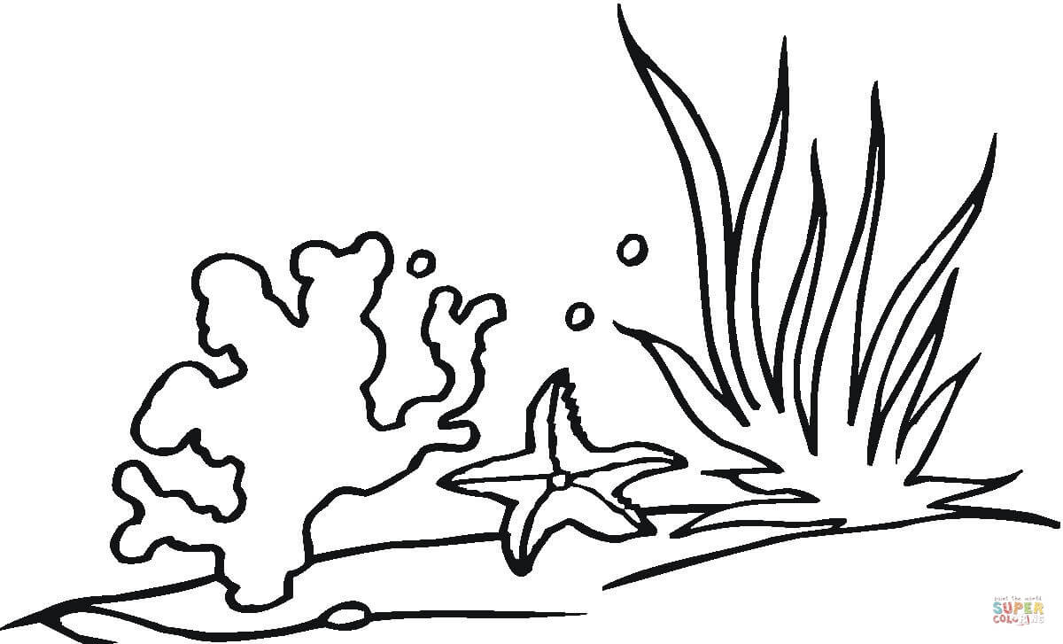 1200x727 Coral Reef Drawings Coral Reef Coloring Page Jacb