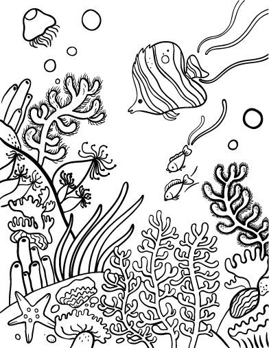 392x507 The Best Coral Reef Drawing Ideas On Coral Reef