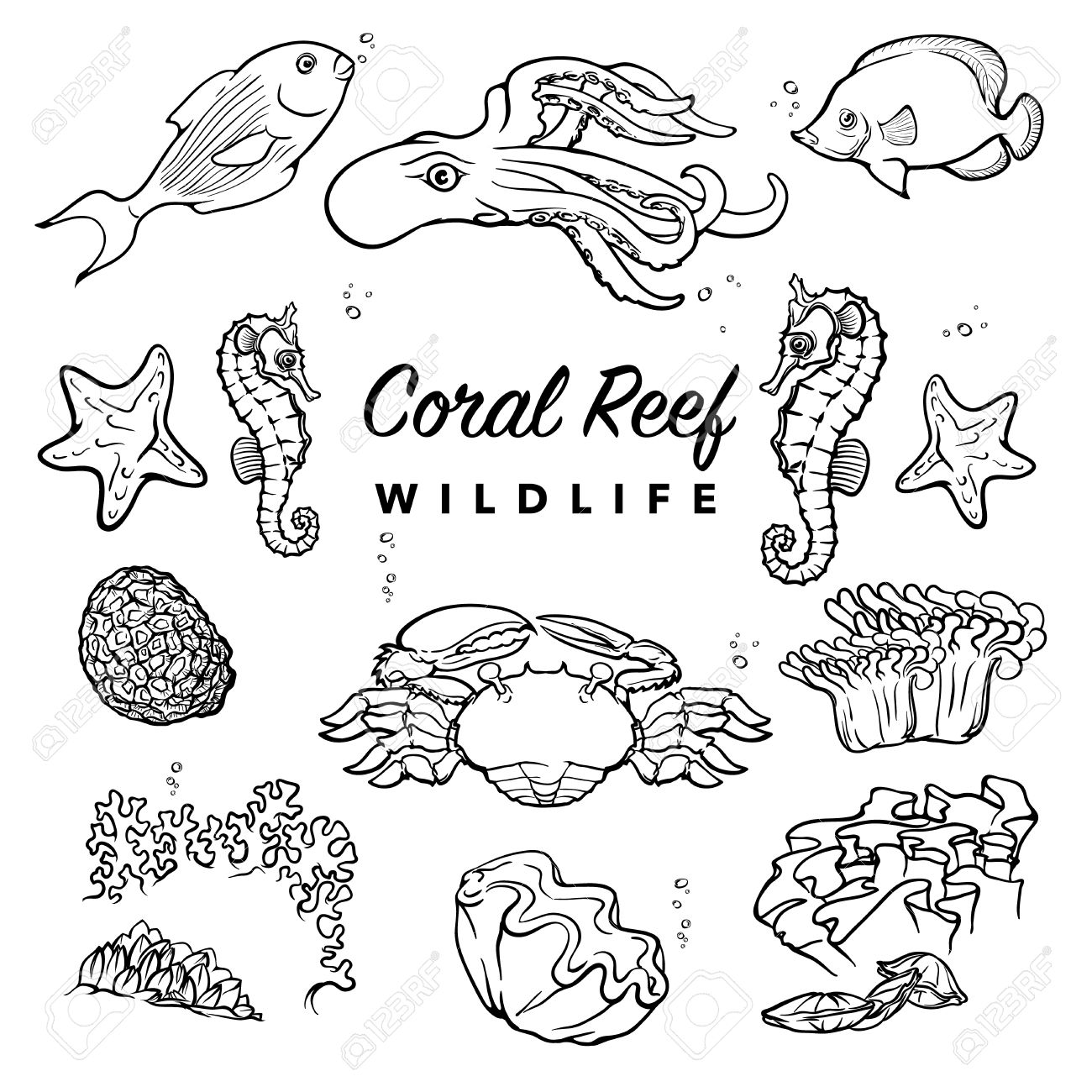 1300x1300 Tropical Coral Reef Inhabitants. Sea Creatures Drawings