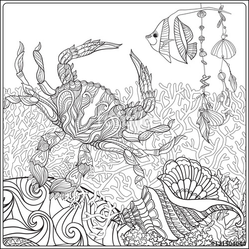 500x500 Coral Reef Collection. Anti Stress Coloring Book For Adult