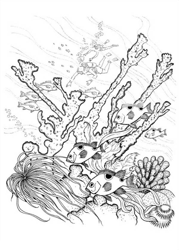 600x840 Coral Reef Of Nature Coloring Page Color Luna