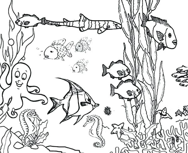 600x490 Pictures Of Fishes To Color Fish Color Pages The Big And Little