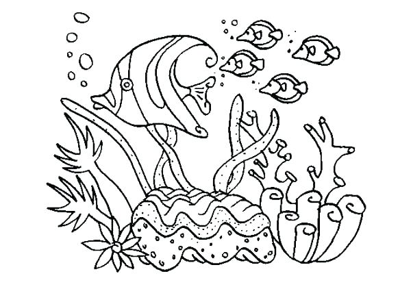 600x422 Sea Animal Coloring Pages Realistic Animal Coloring Pages Animal