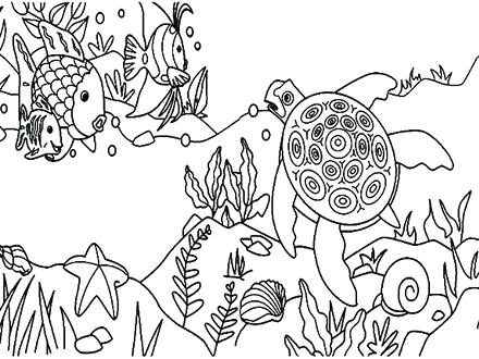 440x330 Top Rated Coral Reef Coloring Page Pictures Pin Coral Reef Fish