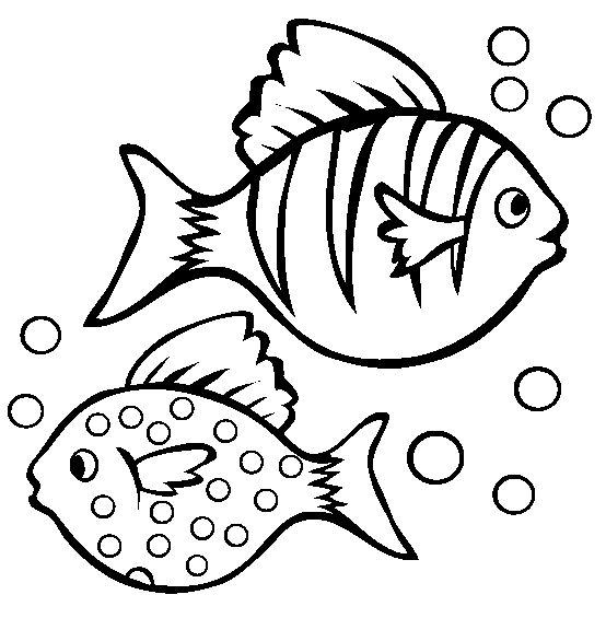 554x565 Hardy Tropical Fish Coloring Pages Coral Reef Fish Coloring Pages