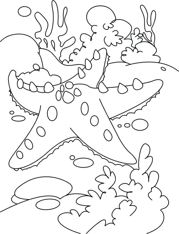 600x785 Awesome Coral Reef Coloring Page New Pages Angel Fish Between Star