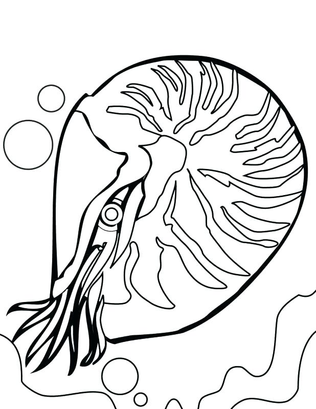 618x799 Top Rated Coral Reef Coloring Page Pictures Ocean Coral Reef