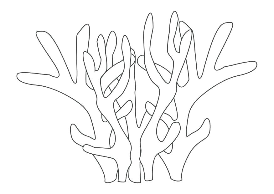 875x620 Coral Reef Coloring Pages Coral Reef Coloring Page Ocean Pages