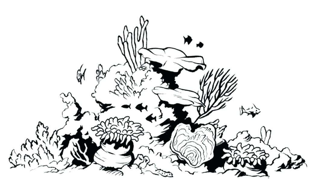 1048x641 Coral Reef Coloring Pictures Coral Reef Stress Coloring Book