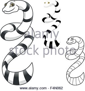 300x322 Coral Snake Vector Illustration Isolated On White Background Stock