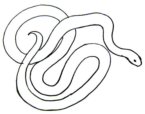 508x400 How To Draw Snakes