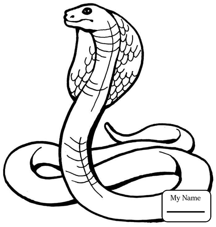 697x734 Coloring Pages Reptiles Coral Snake Realistic Snakes