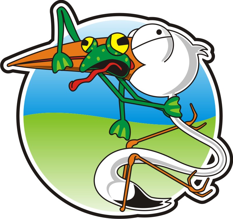 800x754 Stork With Frog Cartoon